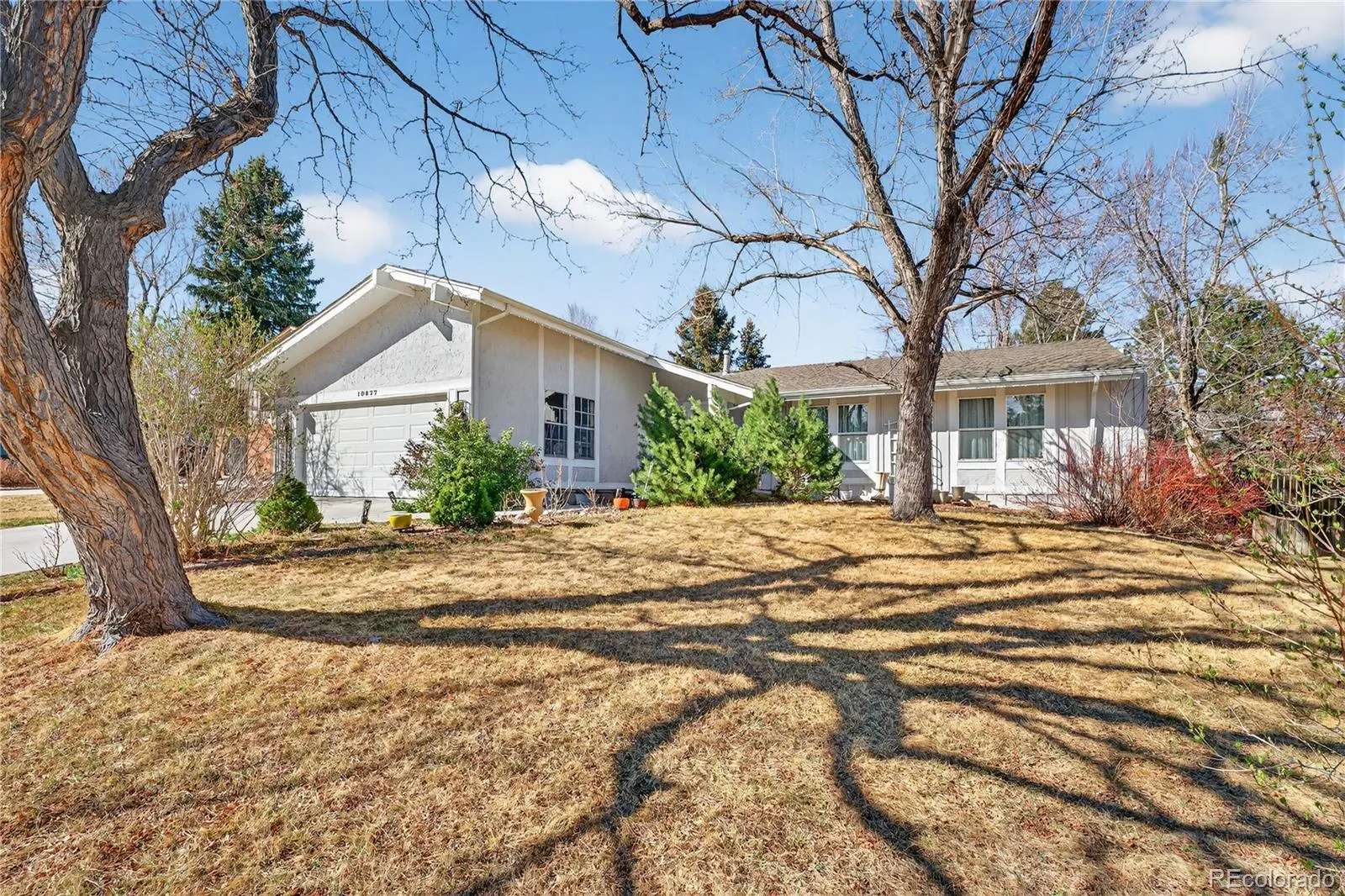 Single-story ranch home on a wide lot with mature trees in late winter, 10877 East Berry Place, Englewood