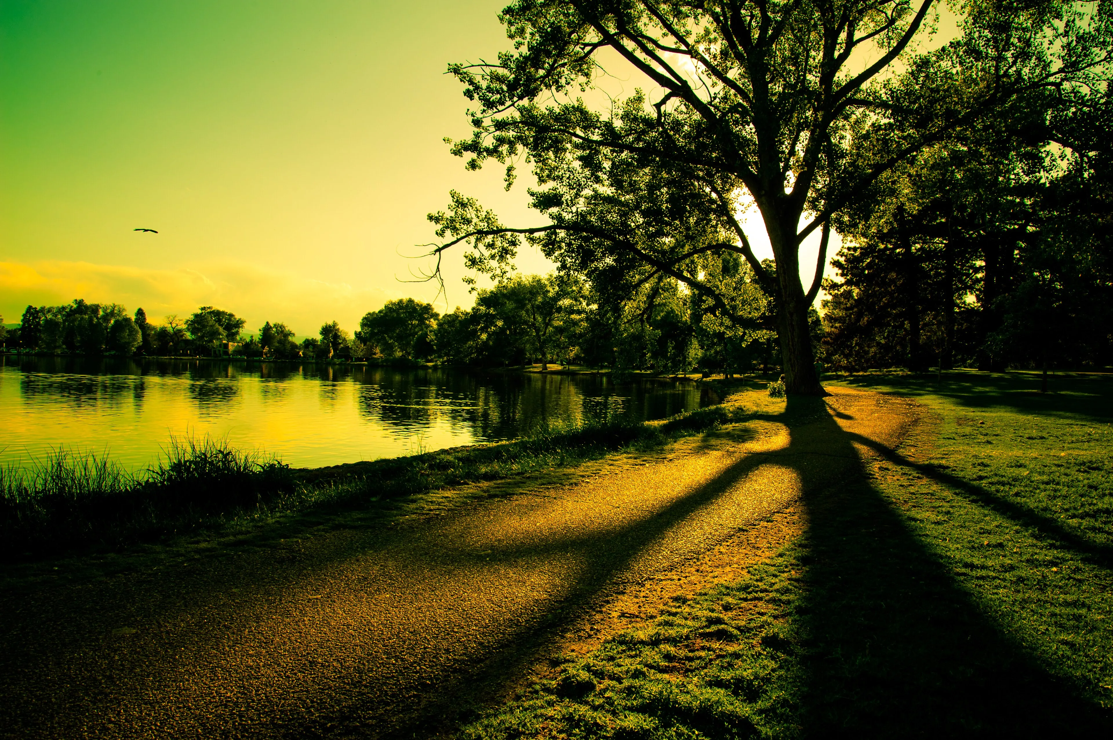 Smith Lake at Washington Park, Denver, at golden hour with long tree shadows across the path